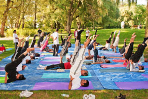 Sarvangasana (Shoulder Stand)