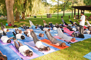 Shalabhasana (Grasshopper Posture)
