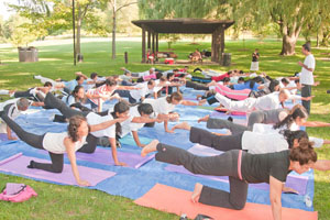 Shwanasana (Dog Posture)