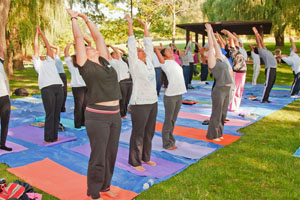Suryanamaskar (Sun Salutation)