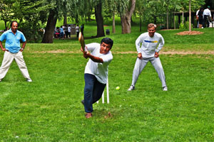 A game of cricket
