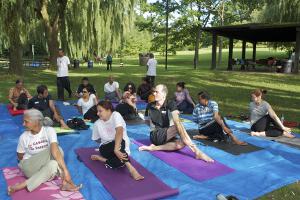 Ardha Matsyendrasana - Twisted torso posture