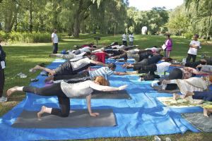 Shwanasana - Dog posture