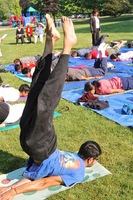 Shalabhasana - Grasshopper Posture